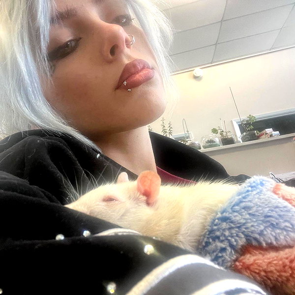 novahnovielli instagram image archive image