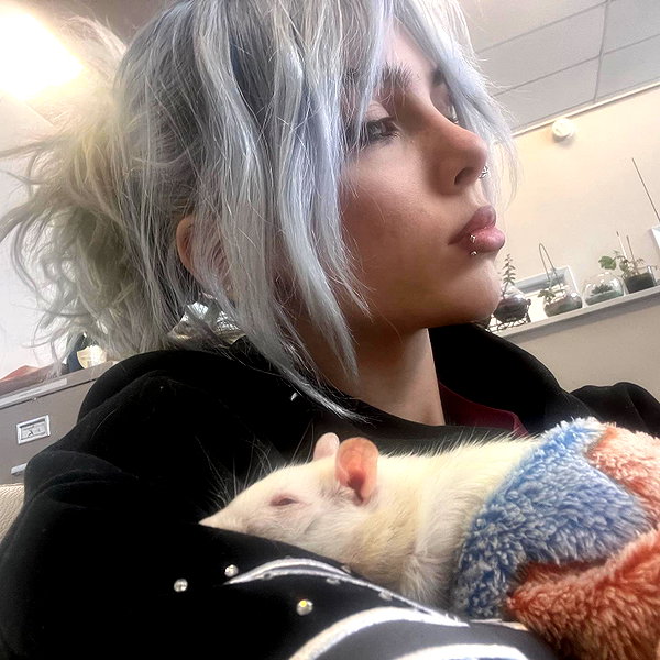 novahnovielli instagram image archive image