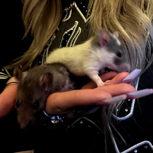 novahnovielli instagram image archive image