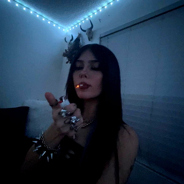 novahnovielli instagram image archive image