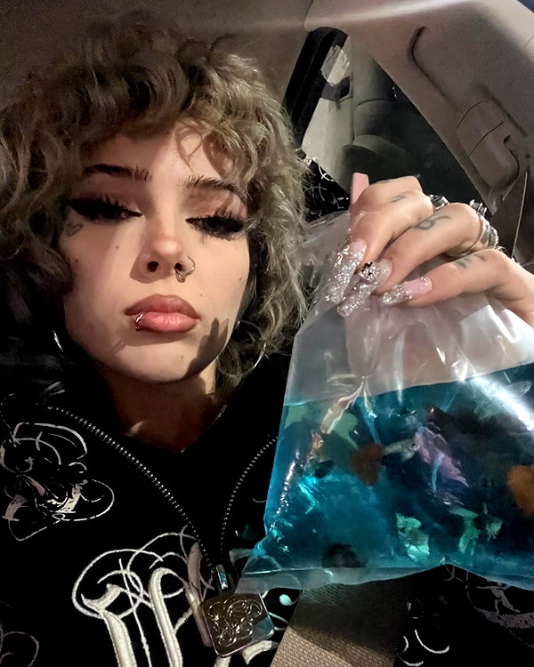 novahnovielli instagram image archive image