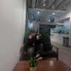 novahnovielli Altpins Profile Picture
