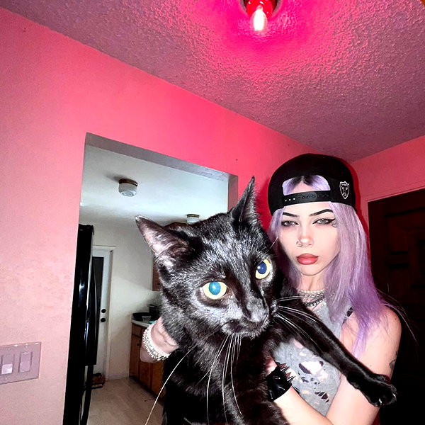 novahnovielli instagram image archive image
