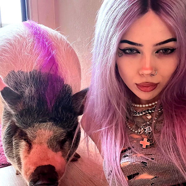 novahnovielli instagram image archive image