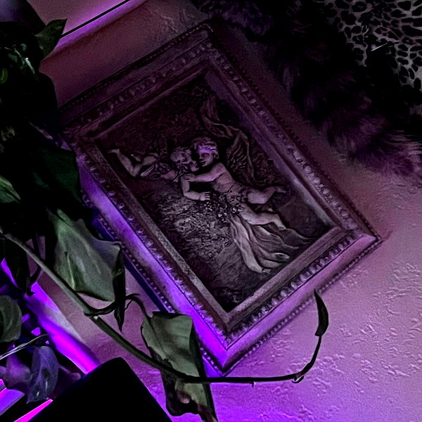 novahnovielli instagram image archive image