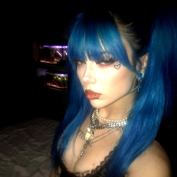 novahnovielli novahnovielli archive image