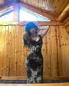 novahnovielli Altpins Profile Picture