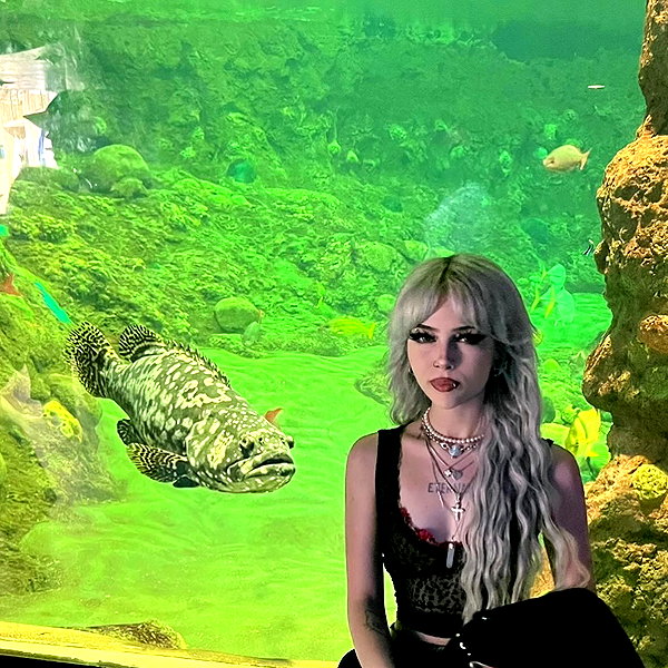 novahnovielli novahnovielli archive image