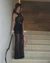 noy.cohen Altpins Profile Picture