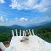 noy.cohen Altpins Profile Picture