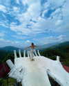 noy.cohen Altpins Profile Picture