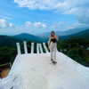 noy.cohen Altpins Profile Picture
