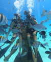 noy.cohen Altpins Profile Picture