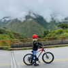 noy.cohen Altpins Profile Picture