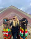 noy.cohen Altpins Profile Picture