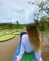 noy.cohen Altpins Profile Picture
