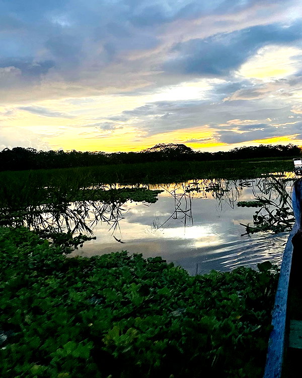 noy.cohen noy.cohen archive image