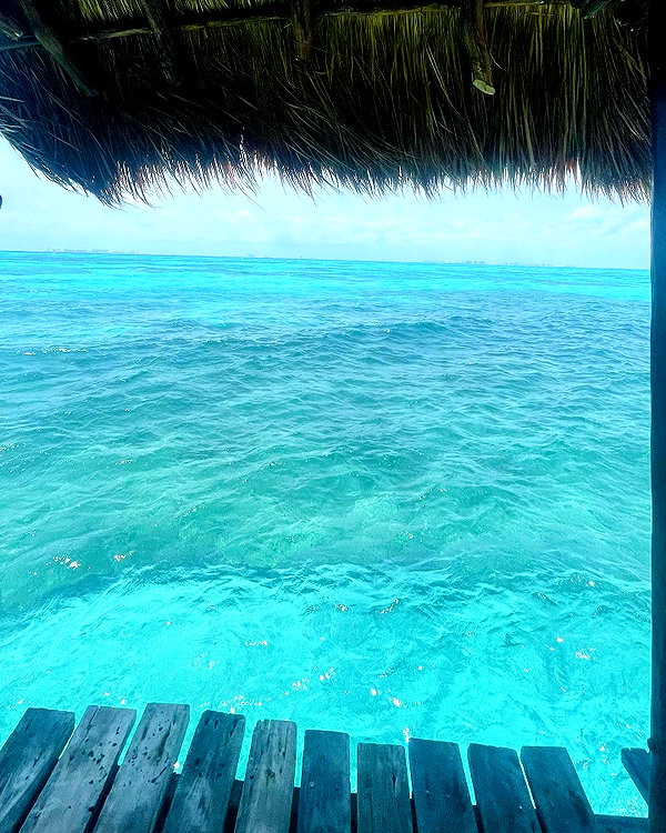 noy.cohen instagram image archive image