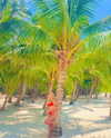 noy.cohen Altpins Profile Picture