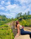 noy.cohen Altpins Profile Picture
