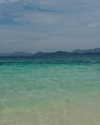 noy.cohenn Altpins Profile Picture