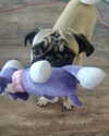 noy__erel Altpins Profile Picture