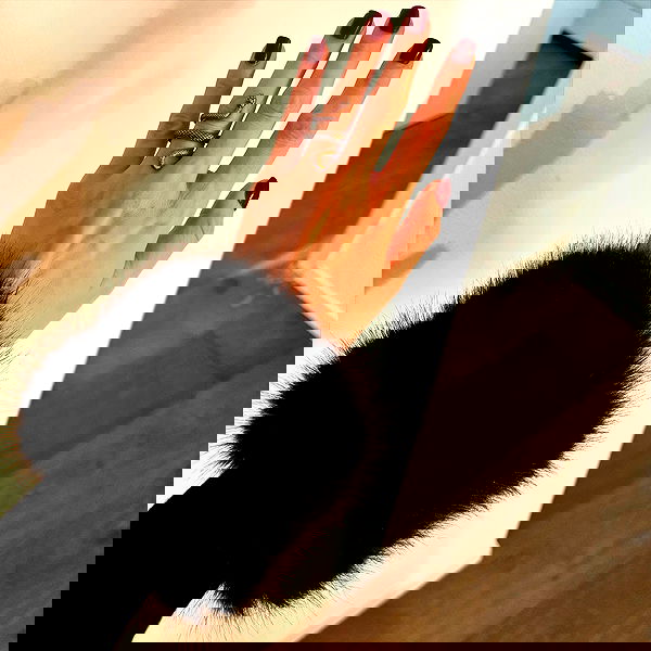 noyaislilith333 noyaislilith333 archive image