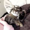 nyla.qaasim Altpins Profile Picture
