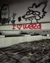 nyla.qaasim Altpins Profile Picture