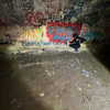 nyla.qaasim Altpins Profile Picture