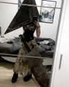 nylthria Altpins Profile Picture