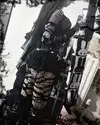 nylthria Altpins Profile Picture