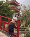 nyukix Altpins Profile Picture