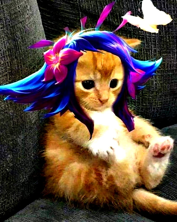 nyukix instagram image archive image