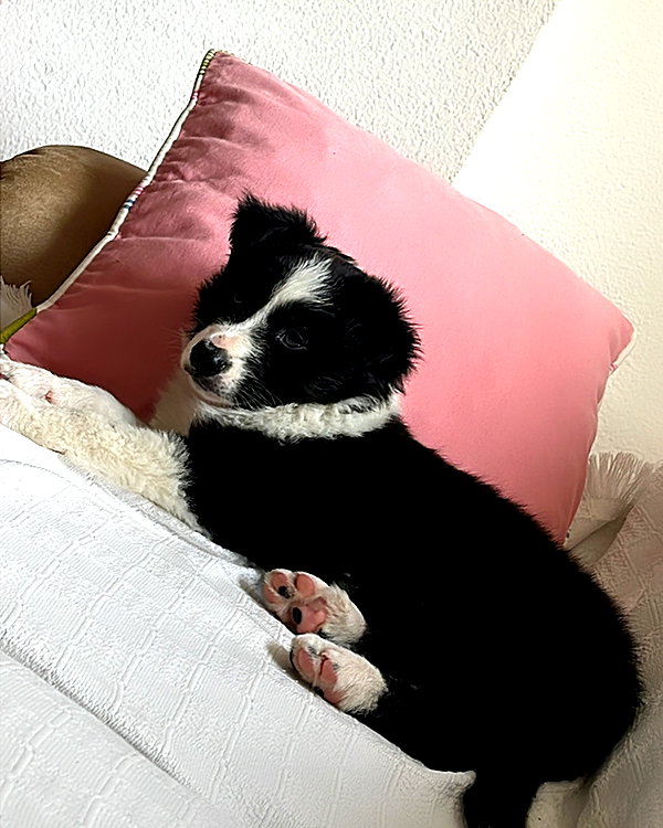 nyukix instagram image archive image