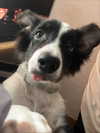 nyukix Altpins Profile Picture