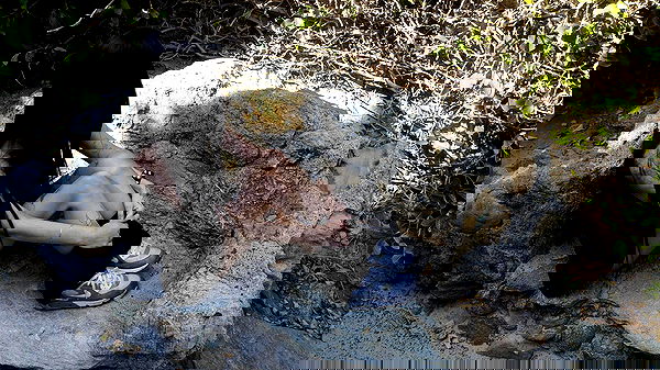 o.fukk image ~ Altpins