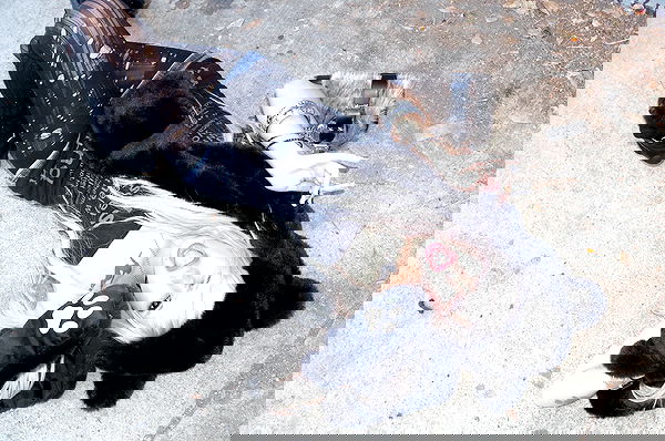 o.fukk image ~ Altpins