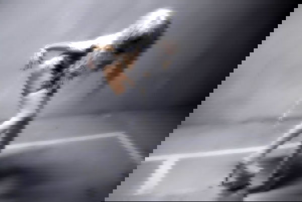 o.fukk image ~ Altpins