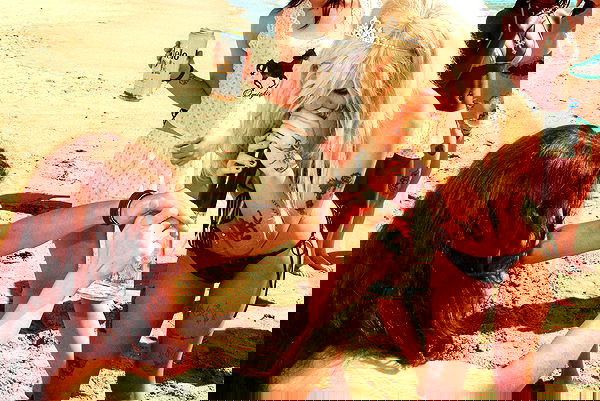 o.fukk image ~ Altpins