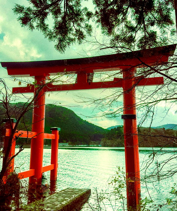 ochya0 instagram image archive image