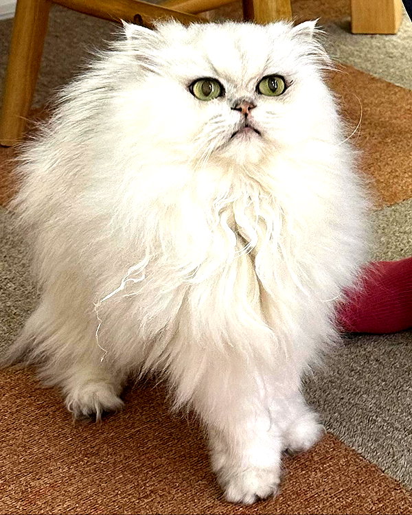ochya0 instagram image archive image