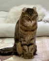 ochya0 Altpins Profile Picture