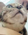 ochya0 Altpins Profile Picture