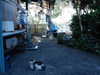 ochya0 Altpins Profile Picture