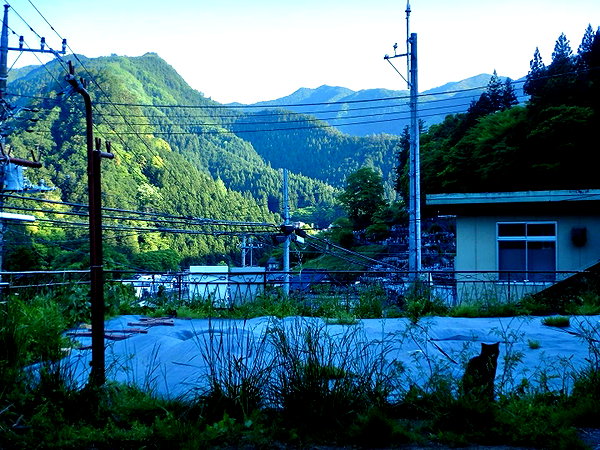 ochya0 instagram image archive image