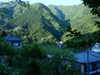 ochya0 Altpins Profile Picture