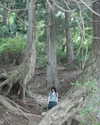 ochya0 Altpins Profile Picture