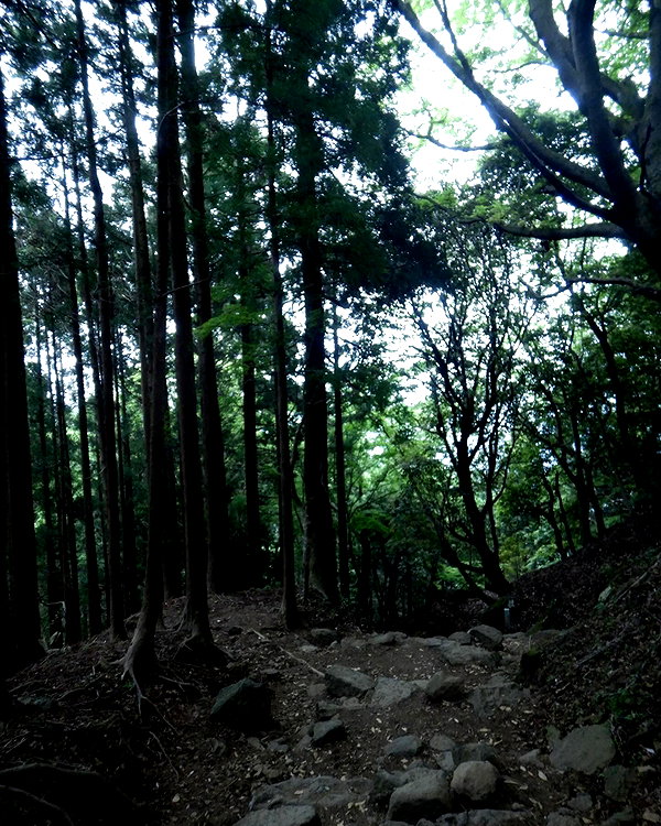 ochya0 instagram image archive image
