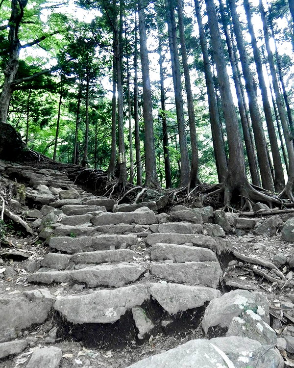 ochya0 instagram image archive image